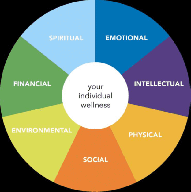 A wheel with the words " your individual wellness ".